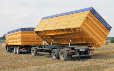 Услуги зерновозов для перевозки зерна - Комсомольский, цены, предложения специалистов