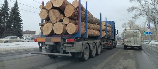 Поиск транспорта для перевозки леса, бревен и кругляка стоимость услуг и где заказать - Саранск